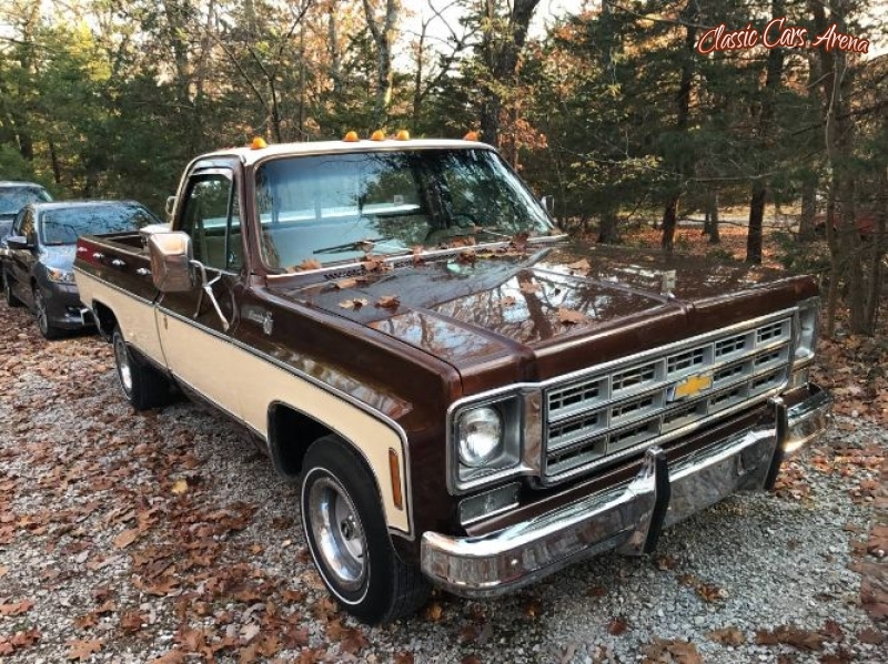 1978 Chevrolet Silverado for sale in Michigan (ID-67402)