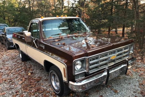 1978 Chevrolet Silverado for sale