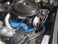 1978 Chevrolet Corvette for sale in Florida (ID-81690)