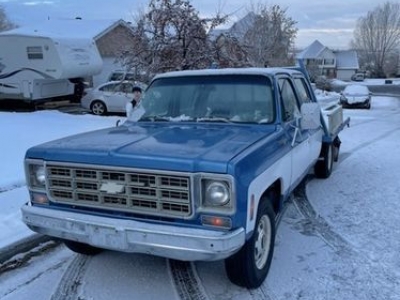 1978 Chevrolet C20 for sale