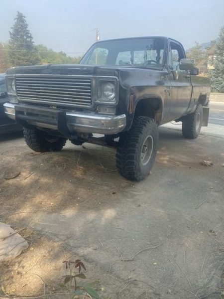 1978 Chevrolet Pickup for sale in Michigan (ID-91994) 1978 Chevrolet Pickup for sale in Michigan (ID-91994)