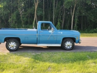1978 Chevrolet Silverado for sale in Michigan (ID-92764)