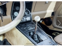 1978 Chevrolet Corvette for sale in Babylon, New York (ID-114984)