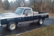 1978 Dodge D100 for sale