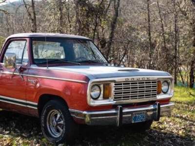 1978 Dodge D150 for sale