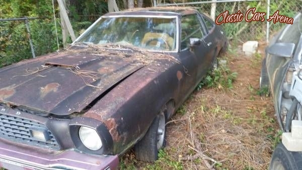 1978 Ford Mustang for sale in Michigan (ID-13272) 1978 Ford Mustang for sale in Michigan (ID-13272)
