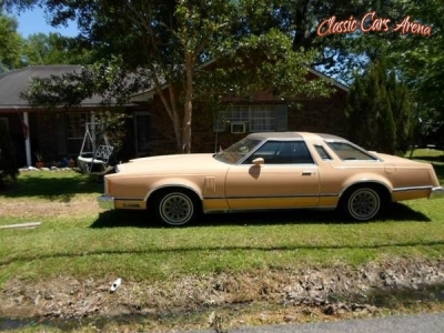 1978 Ford Thunderbird for sale