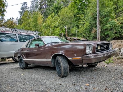 1978 Ford Mustang for sale