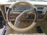 1978 Lincoln Continental for sale in Michigan (ID-89002)