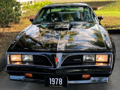 1978 Pontiac Trans Am for sale