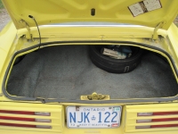 1978 Pontiac Firebird for sale in Windsor, Ontario (ID-122832)