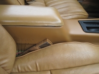 1978 Pontiac Firebird for sale in Windsor, Ontario (ID-122832)
