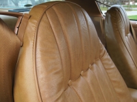 1978 Pontiac Firebird for sale in Windsor, Ontario (ID-122832)