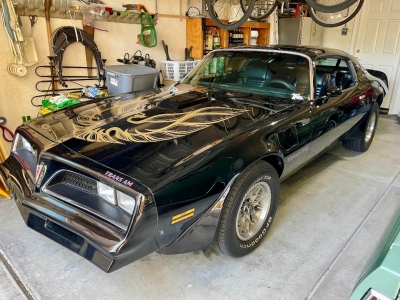 1978 Pontiac Trans Am for sale