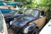 1978 Volkswagen Beetle for sale