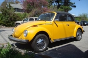 1978 Volkswagen Beetle for sale