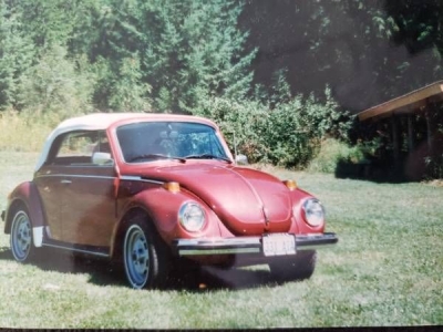 1978 Volkswagen Beetle for sale