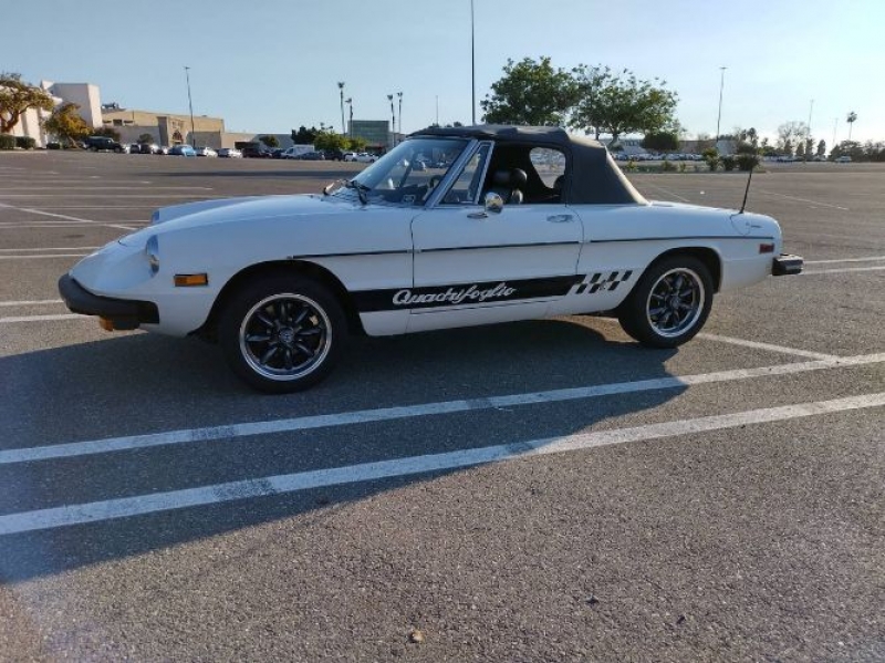 1978 Alfa Romeo Spider for sale in Michigan (ID-111542) 1978 Alfa Romeo Spider for sale in Michigan (ID-111542)
