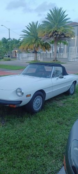 1978 Alfa Romeo Spider for sale in Michigan (ID-119669) 1978 Alfa Romeo Spider for sale in Michigan (ID-119669)