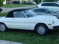 1978 Alfa Romeo Spider for sale in Michigan (ID-119669)