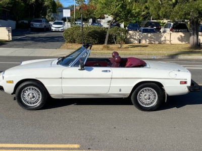 1978 Alfa Romeo Spider for sale