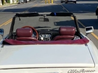 1978 Alfa Romeo Spider for sale in Michigan (ID-131121)