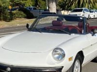 1978 Alfa Romeo Spider for sale in Michigan (ID-131121)