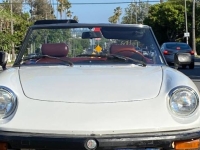 1978 Alfa Romeo Spider for sale in Michigan (ID-131121)