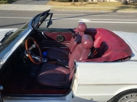 1978 Alfa Romeo Spider for sale in Michigan (ID-131121)