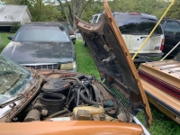 1978 AMC Pacer for sale in Michigan (ID-145448)