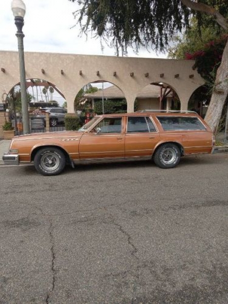 1978 Buick Estate for sale in Michigan (ID-122240)