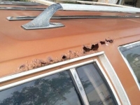 1978 Buick Estate for sale in Michigan (ID-122240)