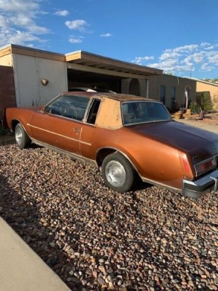 1978 Buick Regal for sale in Michigan (ID-145815)