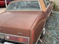 1978 Buick Regal for sale in Michigan (ID-145815)