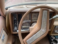 1978 Buick Regal for sale in Michigan (ID-145815)