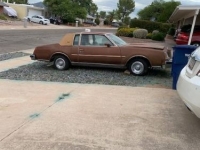 1978 Buick Regal for sale in Michigan (ID-145815)