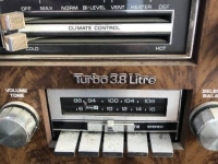 1978 Buick Regal for sale in Michigan (ID-145815)