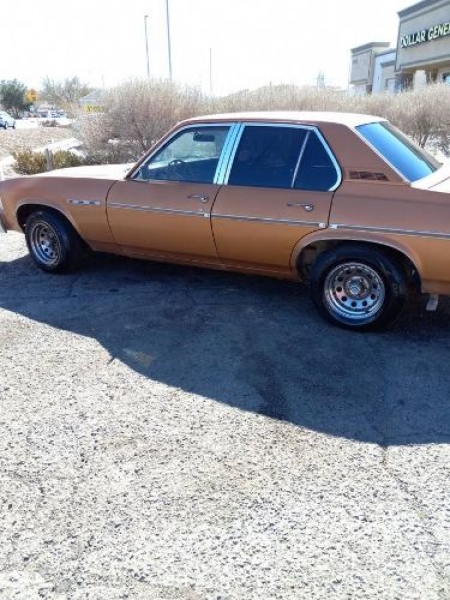 1978 Buick Skylark for sale in Michigan (ID-96189)
