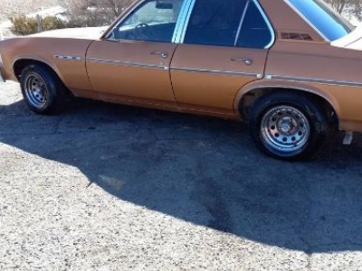 1978 Buick Skylark for sale