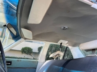1978 Buick Skylark for sale in Michigan (ID-112278)