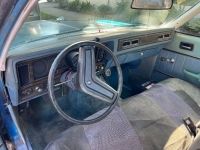 1978 Buick Skylark for sale in Michigan (ID-112278)