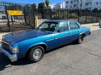 1978 Buick Skylark for sale in Michigan (ID-112278)