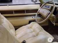 1978 Cadillac Eldorado for sale in Michigan (ID-117469)