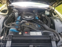 1978 Cadillac Eldorado for sale in Michigan (ID-117469)