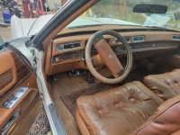 1978 Cadillac Eldorado for sale in Michigan (ID-135415)