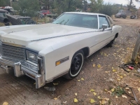 1978 Cadillac Eldorado for sale in Michigan (ID-135415)