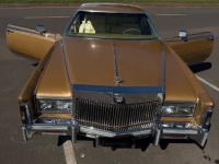 1978 Cadillac Eldorado for sale in Michigan (ID-162959)