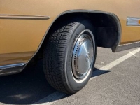 1978 Cadillac Eldorado for sale in Michigan (ID-162959)