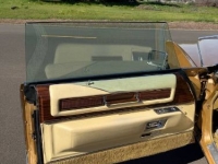 1978 Cadillac Eldorado for sale in Michigan (ID-162959)