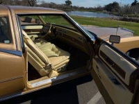 1978 Cadillac Eldorado for sale in Michigan (ID-162959)